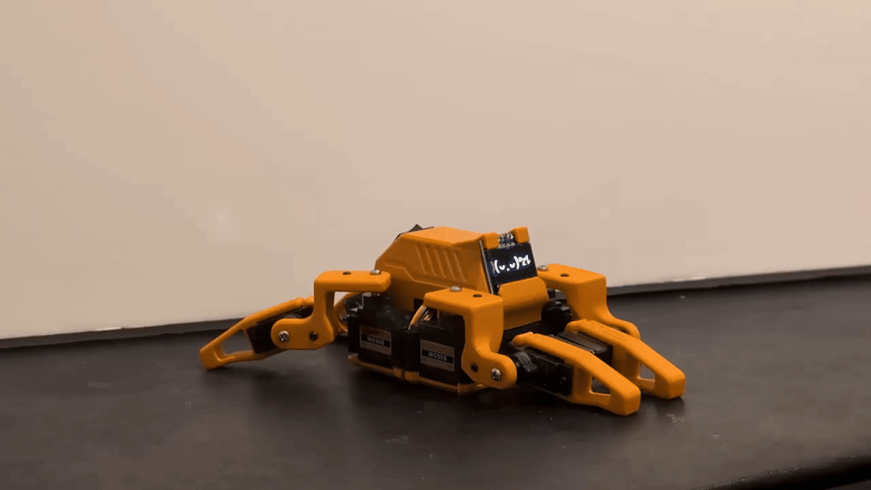 Sesame performing its wake-up animation sequence, demonstrating synchronized servo movement and facial expression.