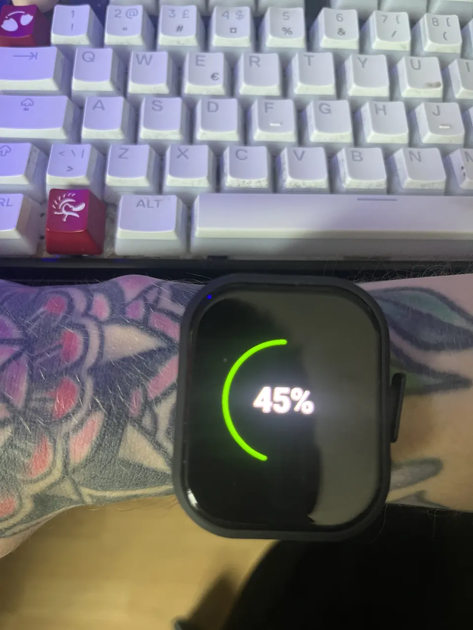 Battery status screen with charge level display